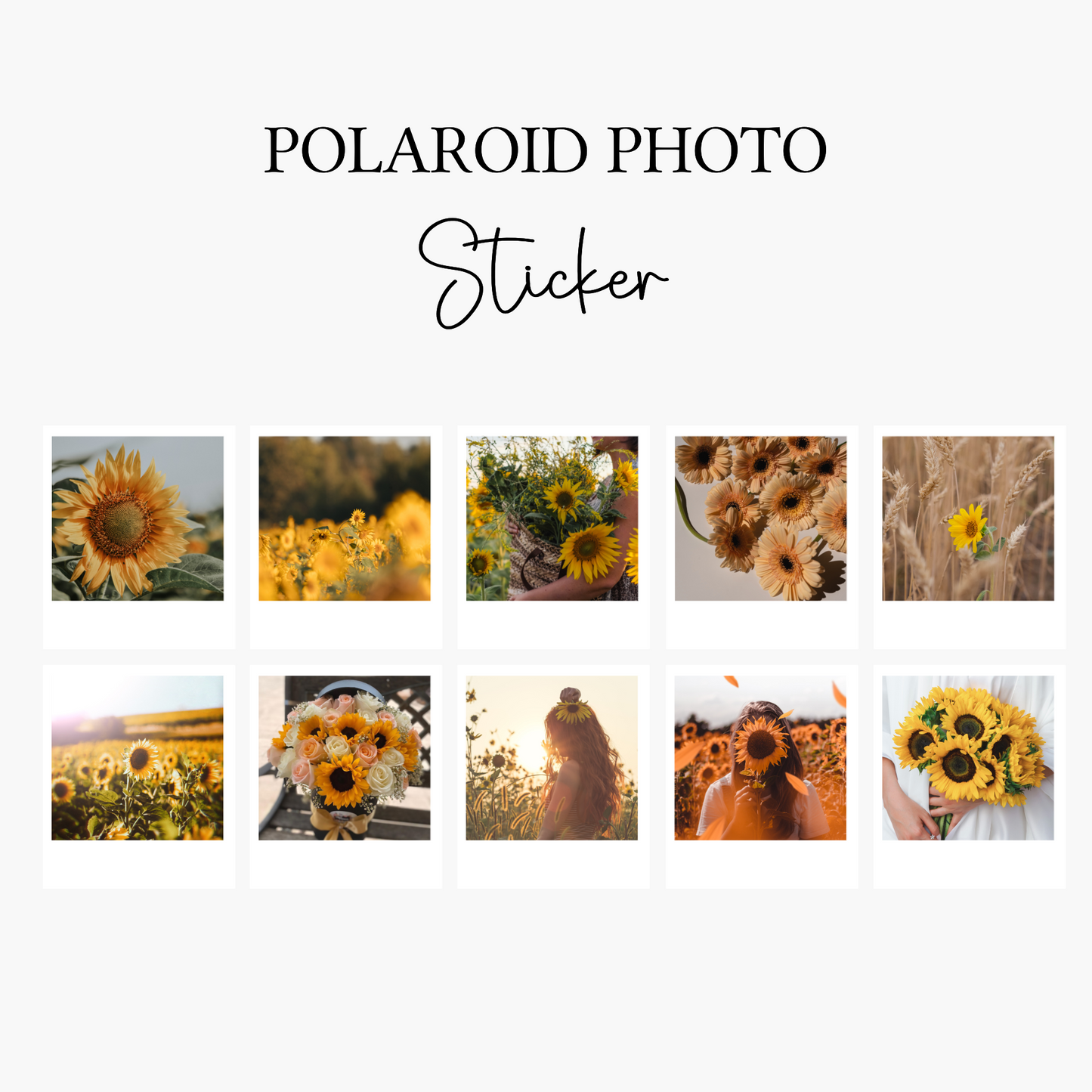 10 Sonnenblumen Polaroid Sticker