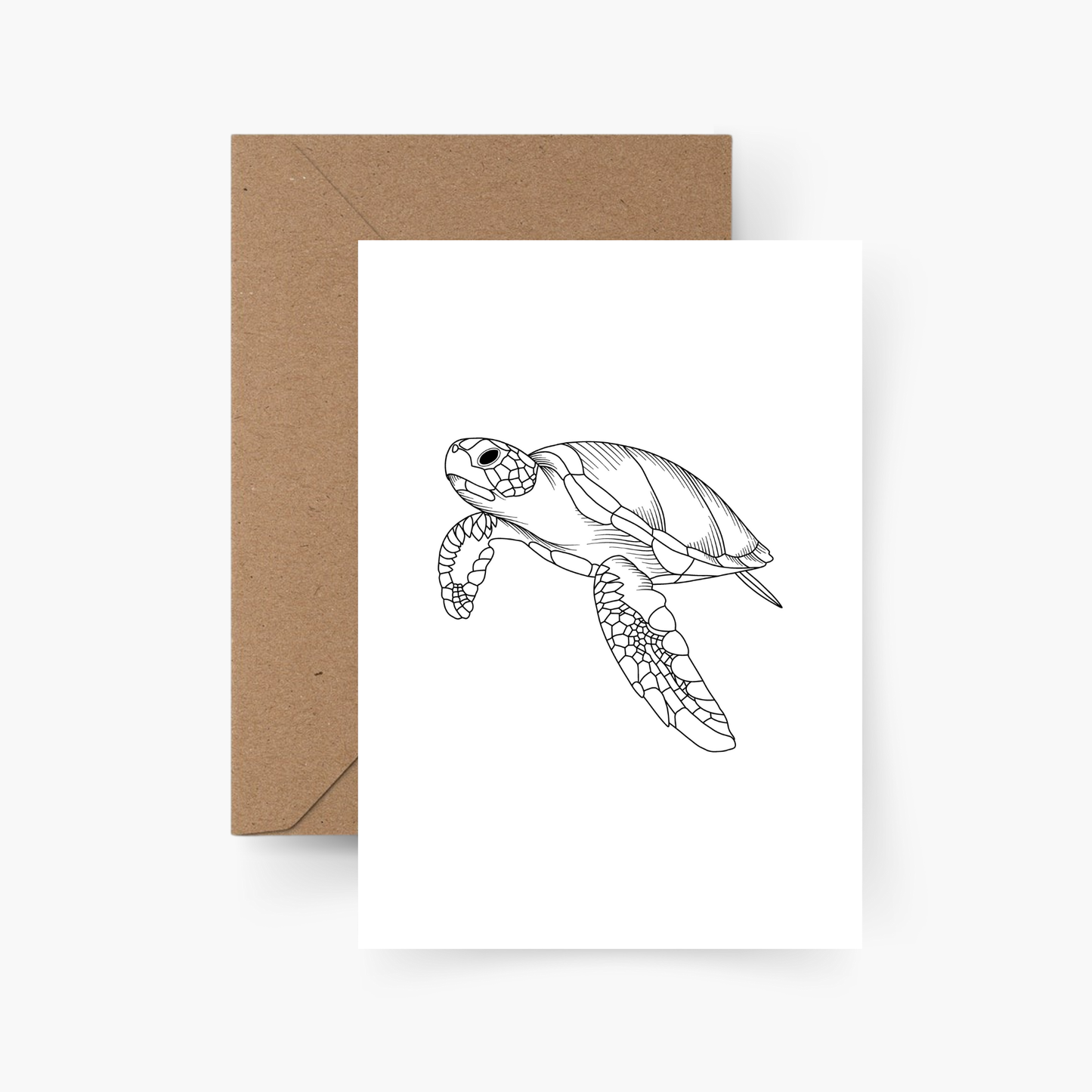 Motiv Postkarte Schildkröte A6