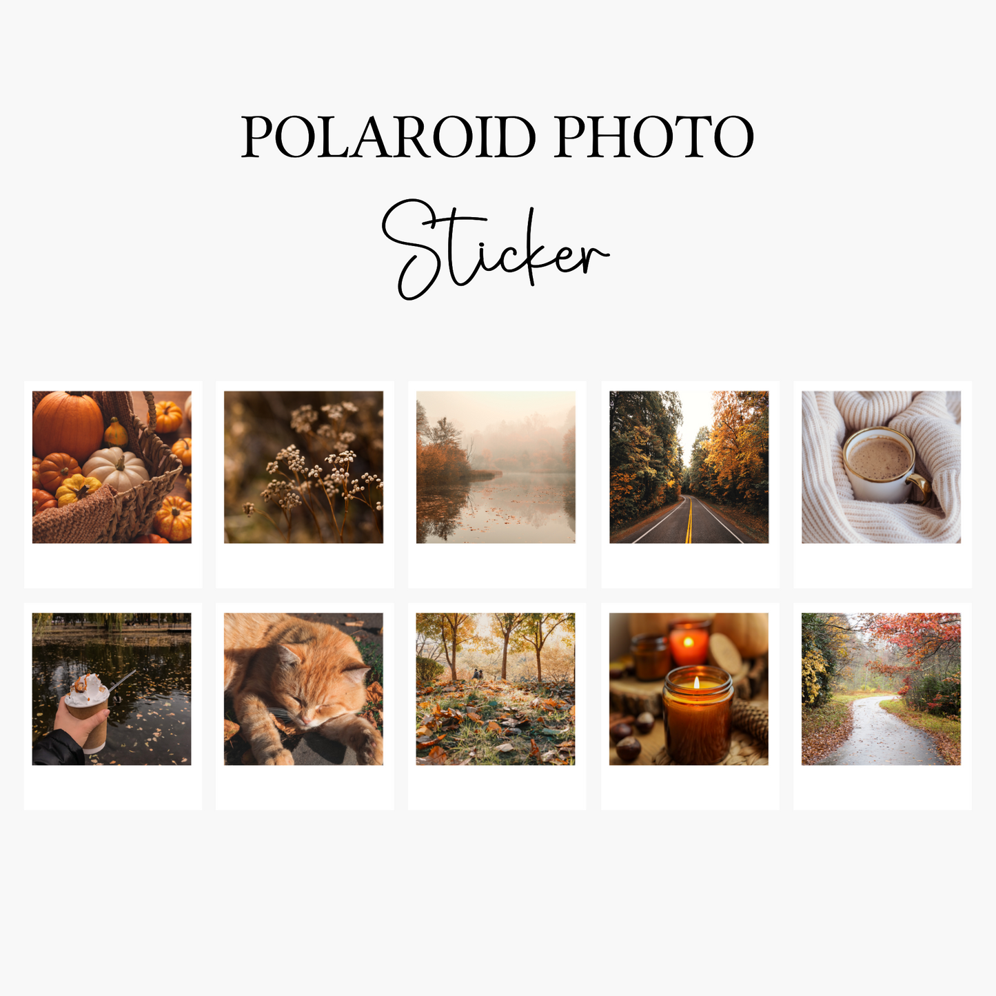 10 Autumn Polaroid Sticker