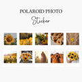 10 Sonnenblumen Polaroid Sticker