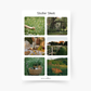 Cottagecore Bilder Sticker Sheet