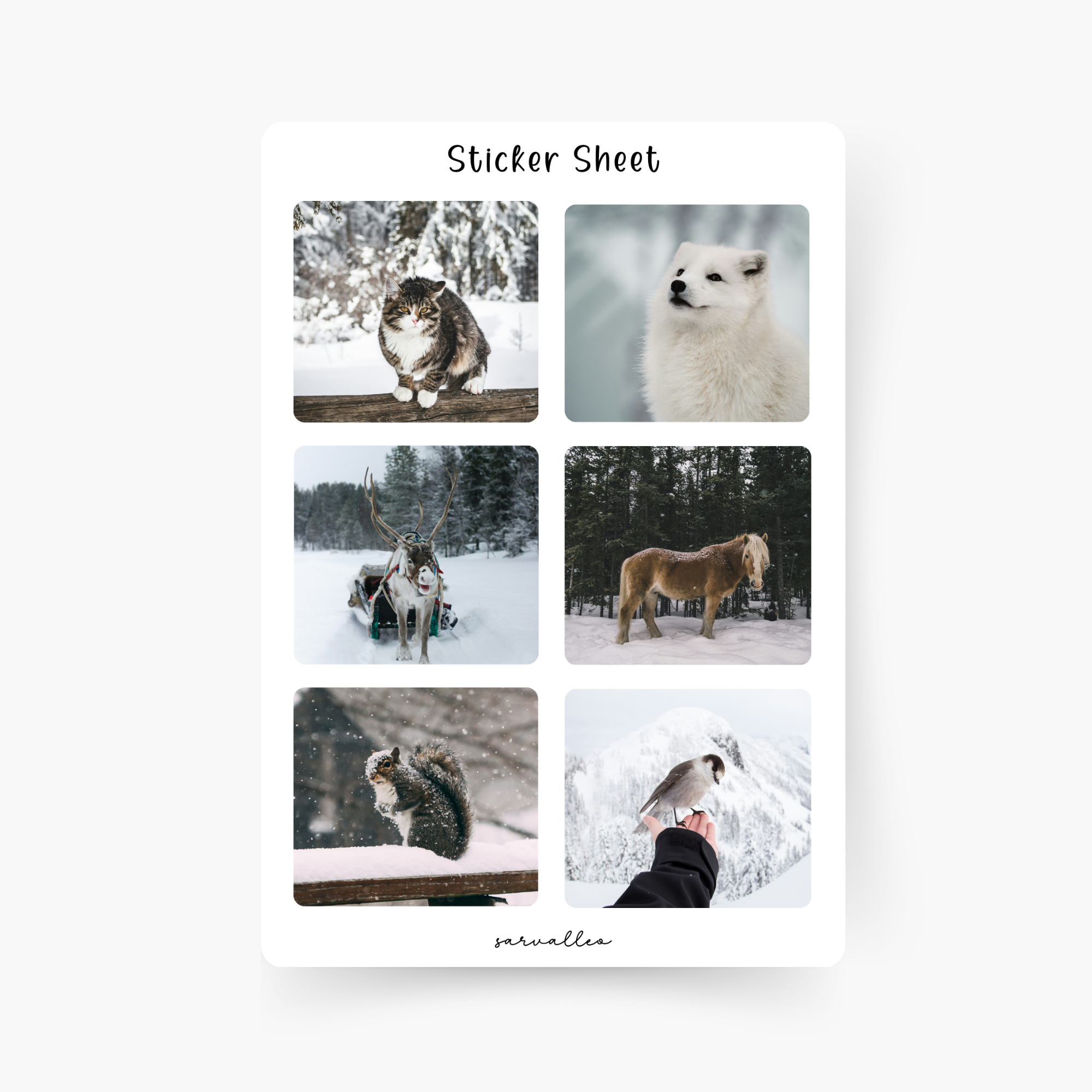 Winter Tiere Sticker Sheet