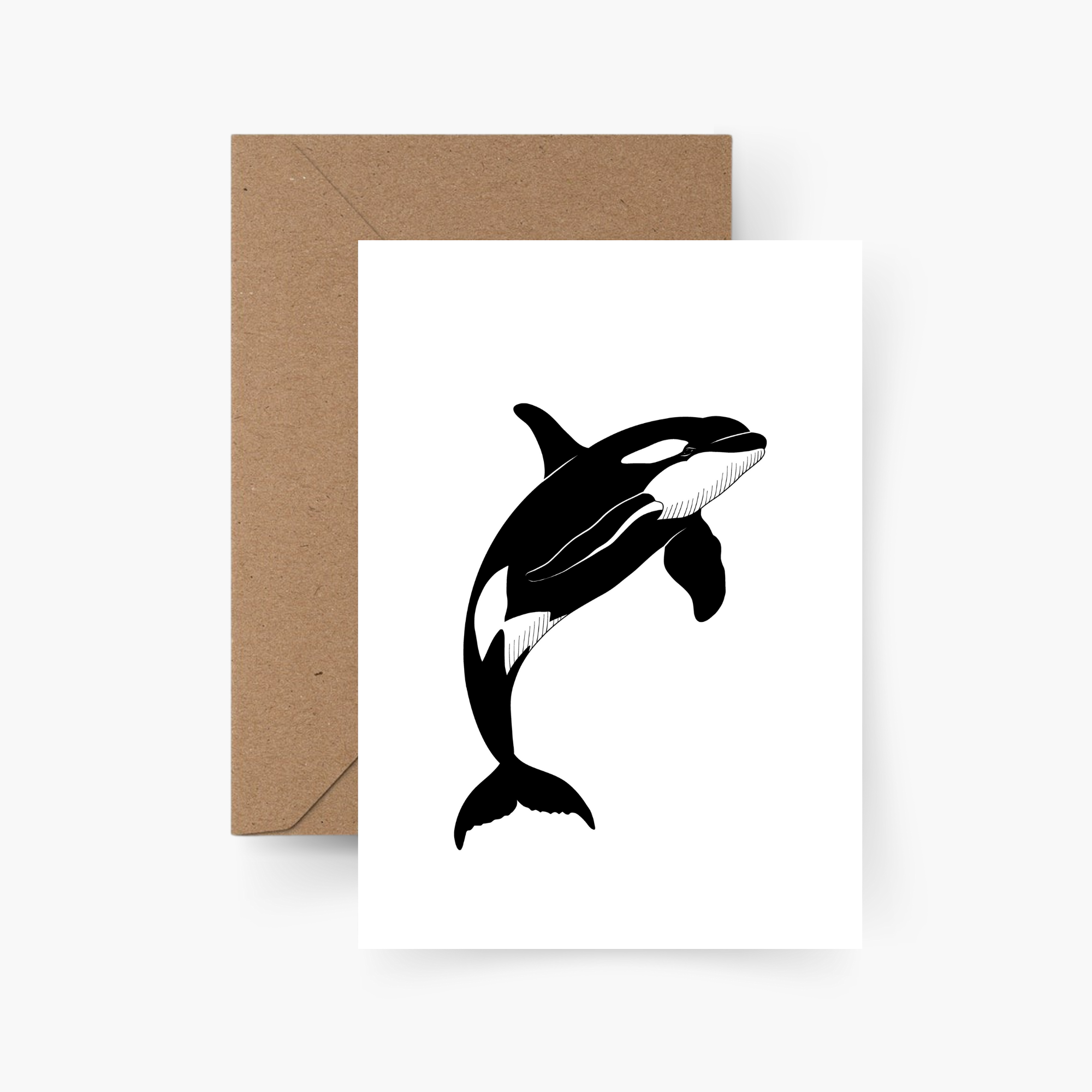 Motiv Postkarte Orca A6
