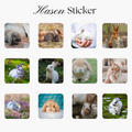 12 Hasen Sticker