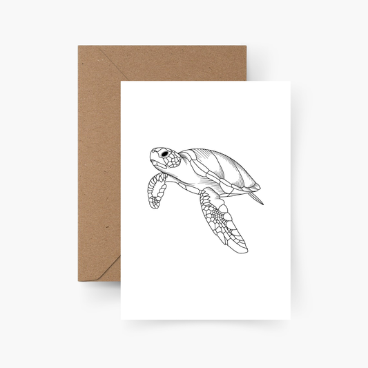 Motiv Postkarte Schildkröte A6