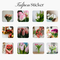 12 Tulpen Sticker
