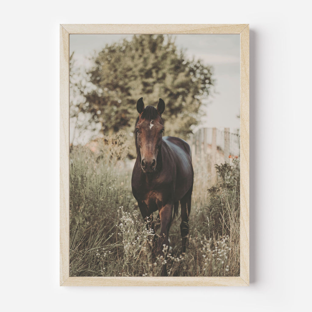 Pferde Poster A4 | Kinderzimmer