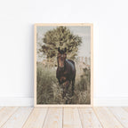 Pferde Poster A4 | Kinderzimmer