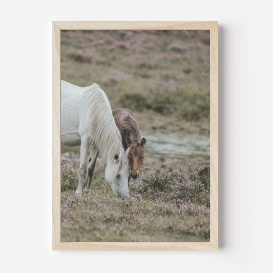 Pferde Poster A4 | Kinderzimmer