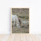 Pferde Poster A4 | Kinderzimmer