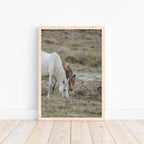 Pferde Poster A4 | Kinderzimmer